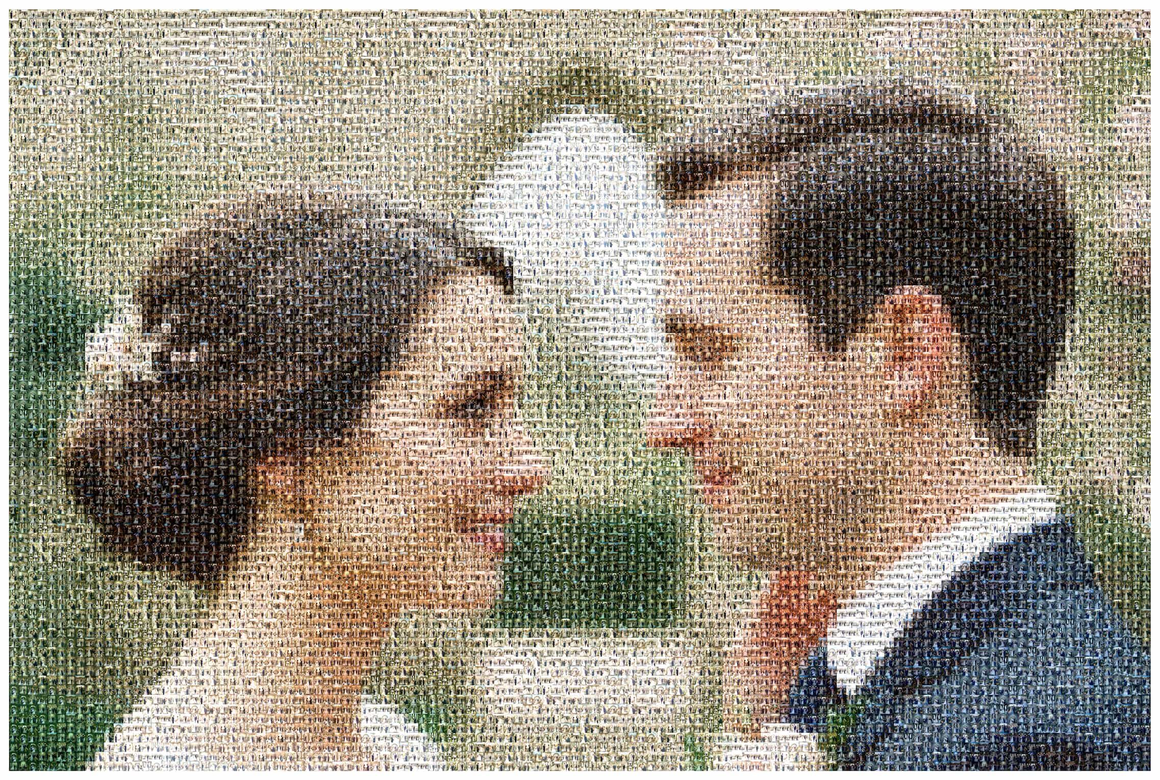 Mosaïque photo de mariage vue de loin : le portrait des mariés